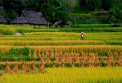 Vietnam Holiday